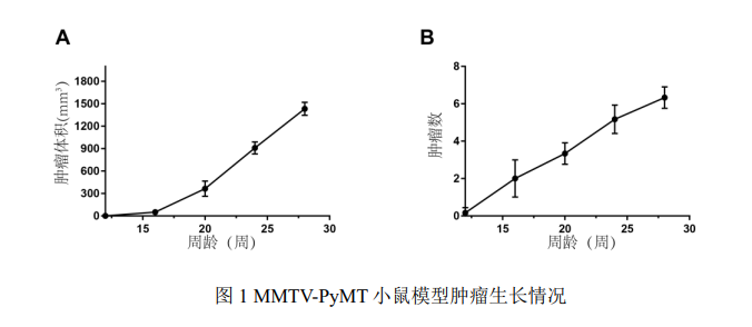 图片2-hjpn.png