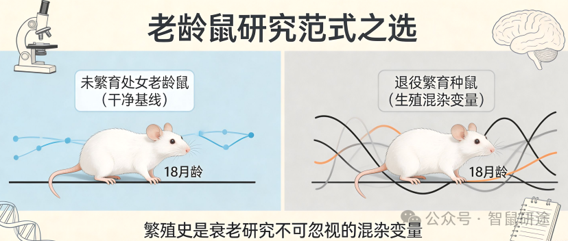 微信图片_2026-08-12_134542_066.png