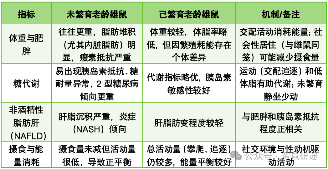 1-rpay.png