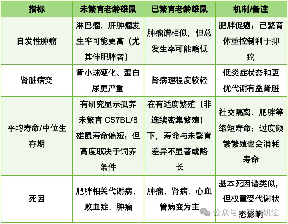 3-wesb.png